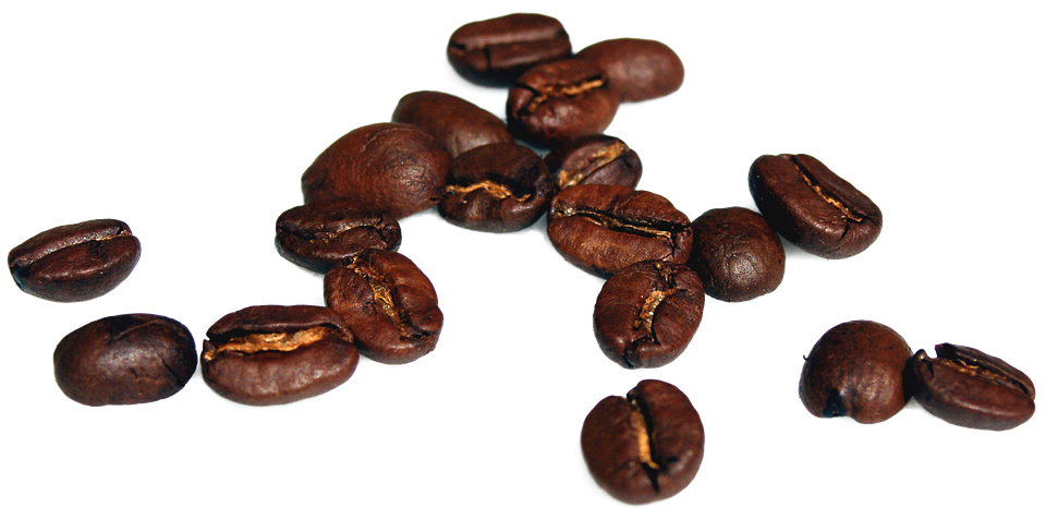 Coffee Bean Myths Debunked: What You Need to Know