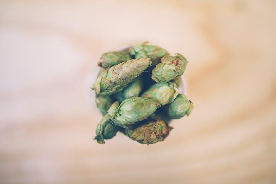 Brew it Right: The Importance of Freshness and Quality