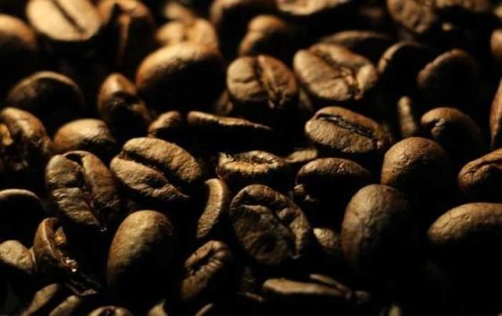 Bean There, Done That: A Fun Guide to Coffee Bean Types!