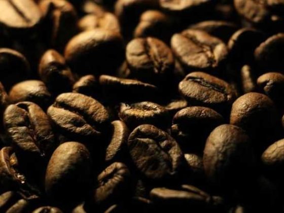 Bean There, Done That: A Fun Guide to Coffee Bean Types!