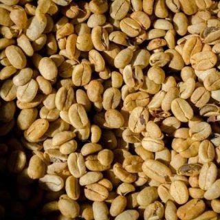 Coffee Beans 101: Discover Your Perfect Brew Match!