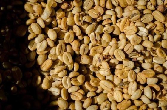 Coffee Beans 101: Discover Your Perfect Brew Match!