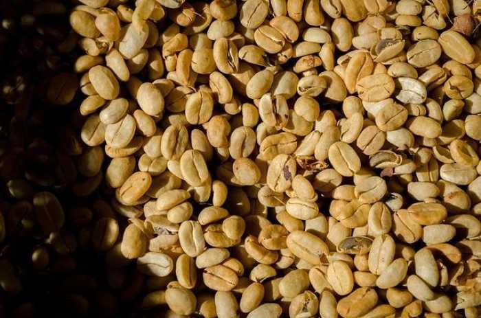 Coffee Beans 101: Discover Your Perfect Brew Match!